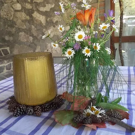 Dom wakacyjny La Del Conte *